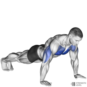 man doing standard push-ups